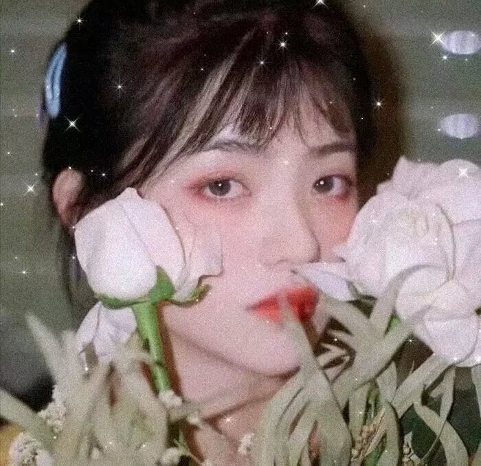 青木原树海